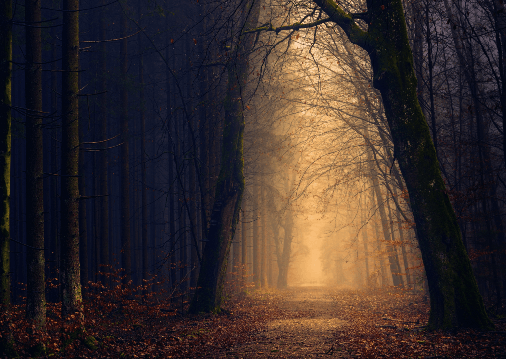 Opportunity or Trap?