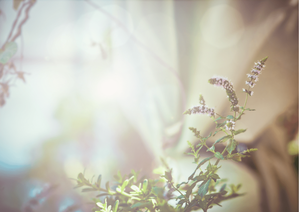 From the Corner of My Eye,&nbsp;Existence