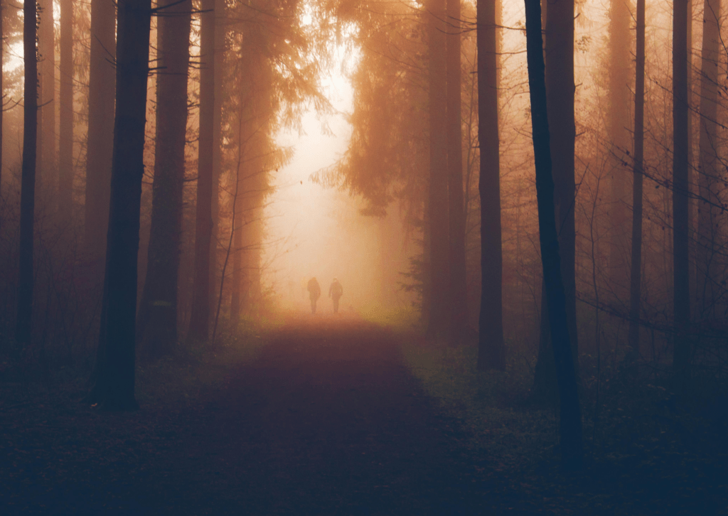 Death and Other&nbsp;Mysteries